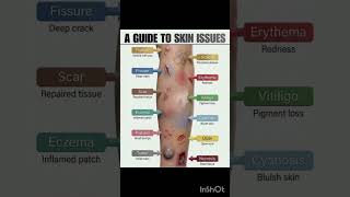 skin lesions- guide to skin issues #pathology #skininfections #skinlesions #mbbs #mbbs2ndyear