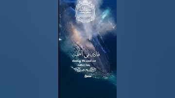 {وذا النون إذ ذهب مغاضبا فظن أن لن نقدر عليه فنادى} تلاوة من سورة الأنبياء للقارئ د || ياسر الدوسري