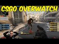 GUILTY OF EVERYTHING - CSGO Overwatch