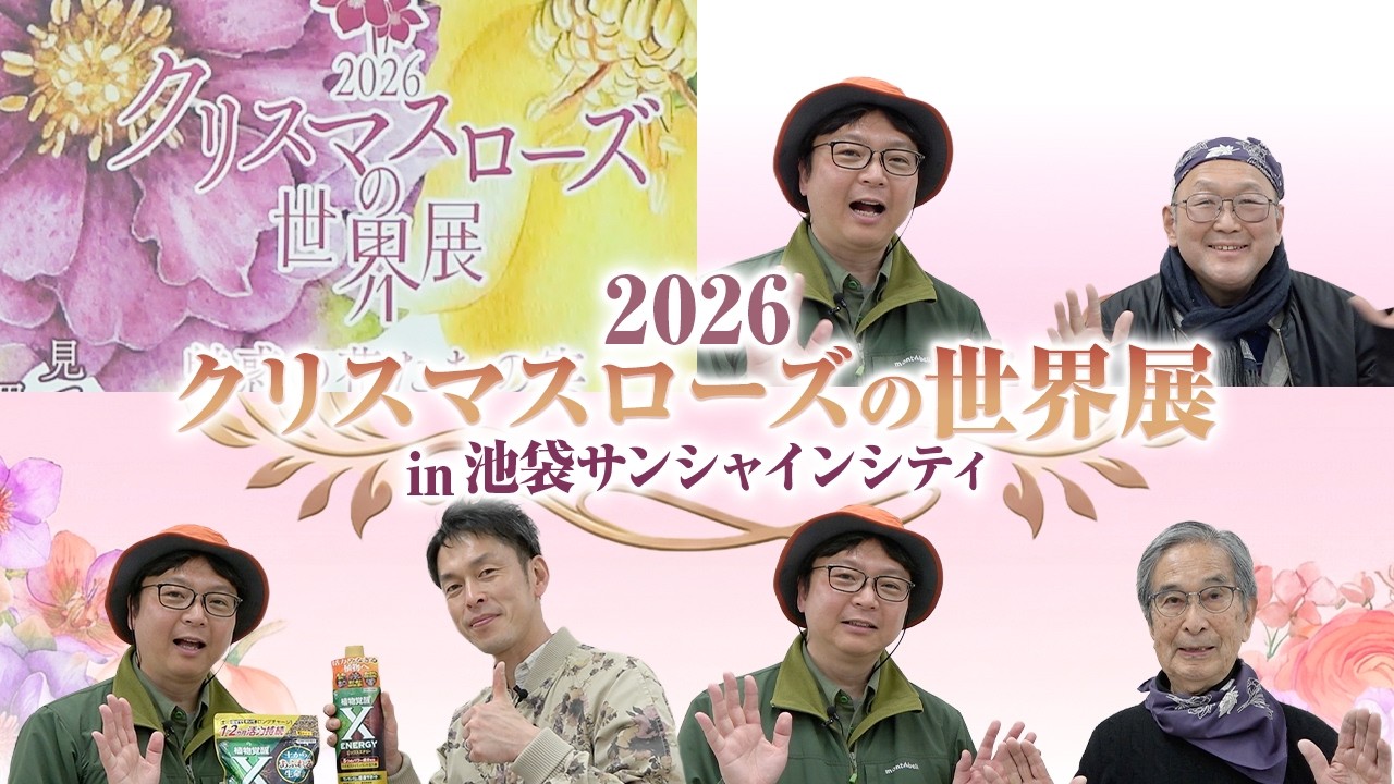 2026 Christmas Rose World Exhibition We asked a pro about X-ENERGY