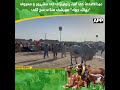 Eid-ul-Azha 2026 | Bhatta Chowk Cattle Market | Rawalpindi | APP Exclusive