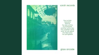 Video thumbnail of "The Orchids - Something For The Longing"