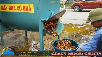 Máy rửa nghệ củ quả Bình Quân - Rửa 5 - 7 tạ nghệ 1 giờ