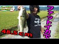 バス釣り　ファットイカで４８ｃｍ！！