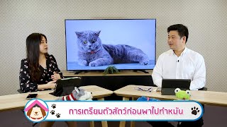 การเตรียมตัวสัตว์เลี้ยงก่อนพาไปทำหมัน | รายการ pet care onair