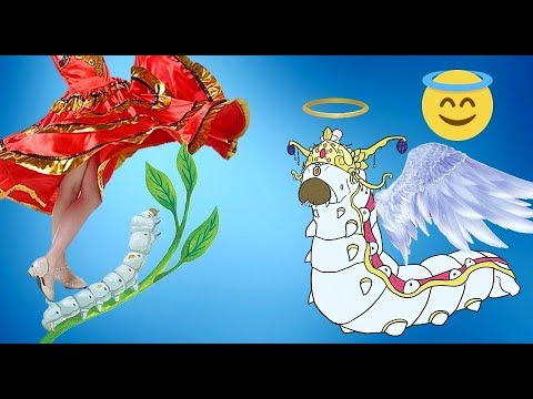 Video Con Tằm - Tơ Lụa & Sự Hi Sinh Cả Cuộc Đời Của Nó - youtube