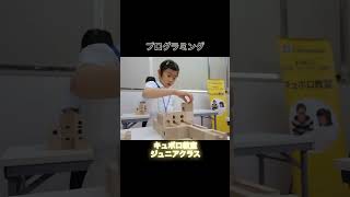 Cubolo Class Junior Class Physical programming that develops intuition and imagination, as proven...