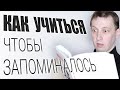 Как учиться чтобы запоминалось