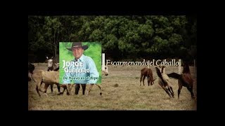 Video thumbnail of "Escarmenando el Caballo - Jorge Guerrero El Guerrero del Folklore"