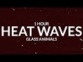 Glass Animals - Heat Waves (Slowed TikTok) [1 Hour] sometimes all i think about is you late nights