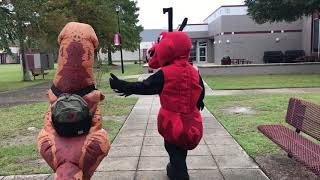 Campus Tour with Blaze