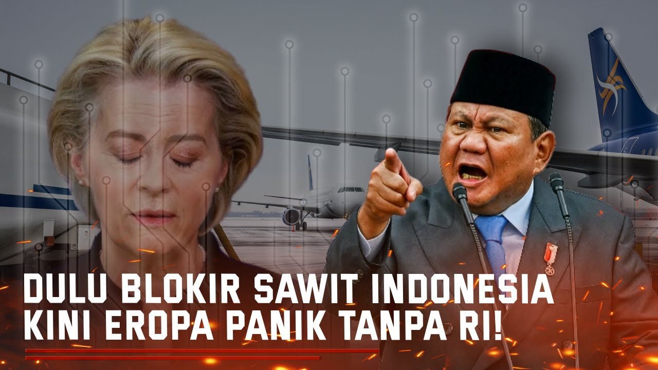 Krisis Menghantam Eropa! Tanpa Sawit RI, Pesawat Mereka Terancam!