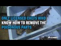 This poisonous fish commands $70 per pound in Japan | CNBC International