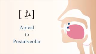 [ ɹ̠̊˔ ] unvoiced subapical postalveolar non sibilant fricative