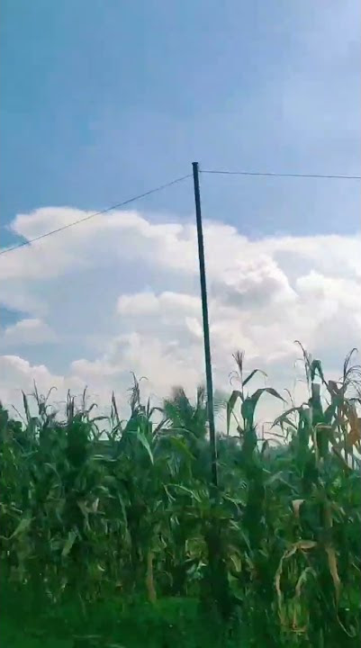 Bahan Story Otw | Video Mentahan Jalan