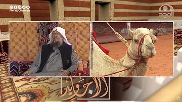تلاوة عذبة خاشعة مميزة من سورة الغاشية | القارئ عبدالحميد النويشر
