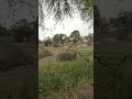 Totally Distraction...😱#shortvideo #mindset #trending #storm #climatechange