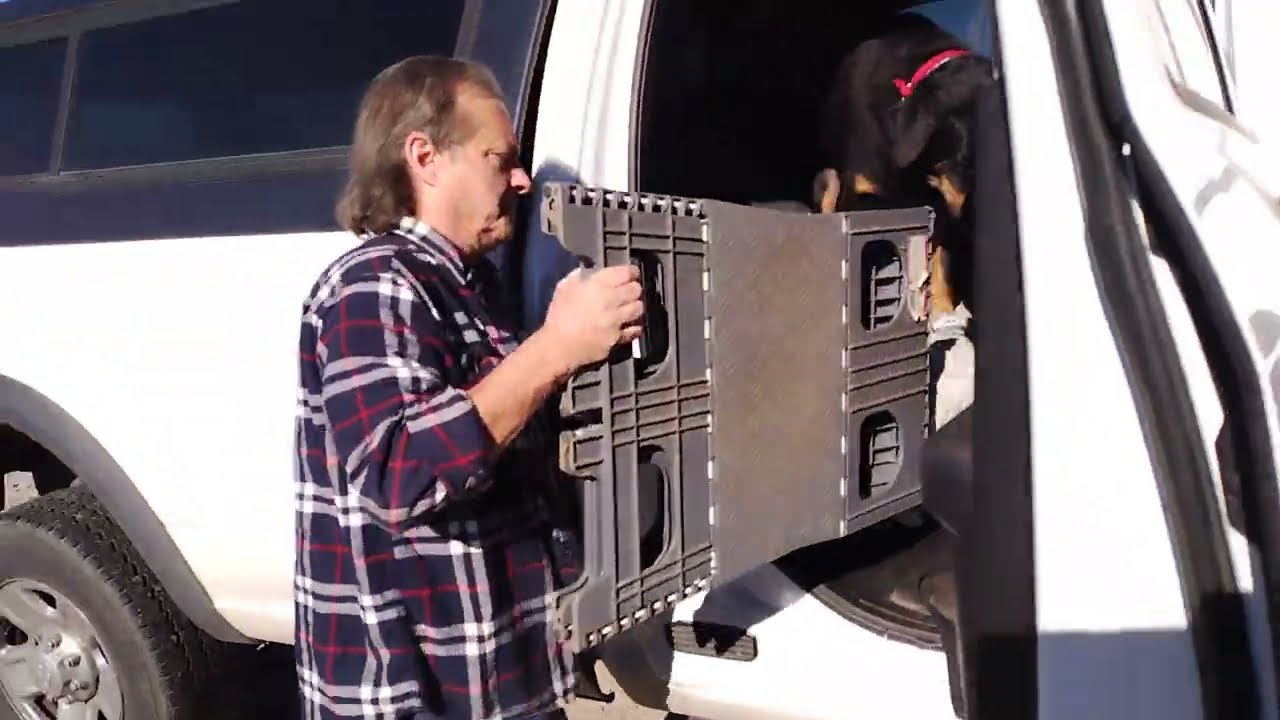 Dog wears shoes first time in New Mexico 