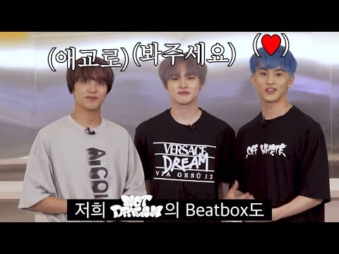 [엔시티] 엔시티드림 네고왕
