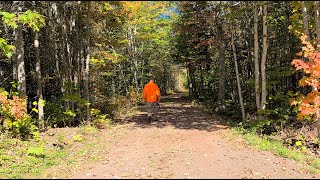 Fall day in the North Woods - Partridge Hunting by NB88 10,280 views 2 years ago 21 minutes