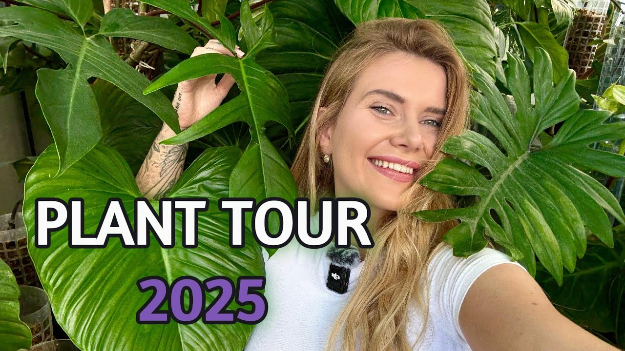 WITAM W TROPIKALNEJ KRAINIE 🪴 WIELKI PLANT TOUR 2025 | lunavlog