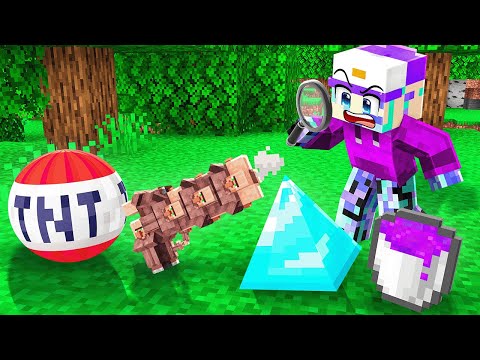 Every Illegal Minecraft Item in One Video...
