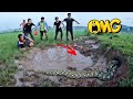 Full Video | Defeat 100 Ferocious Golden Cobra