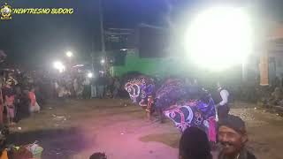 LAMUNAN JANDHUT NEW TRESNO BUDOYO VOC. EKA LIDYA FT LINDA //RIZKYA AUDIO