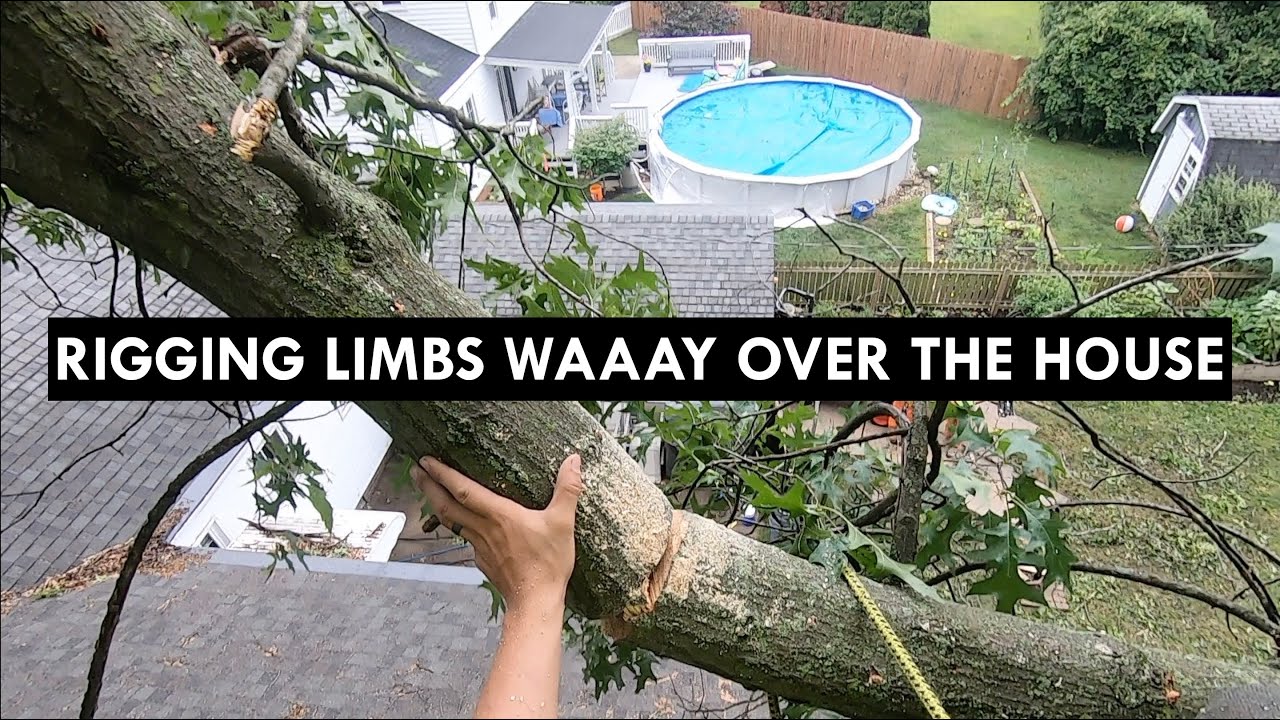 Big Oak Rigging Part 2 - YouTube