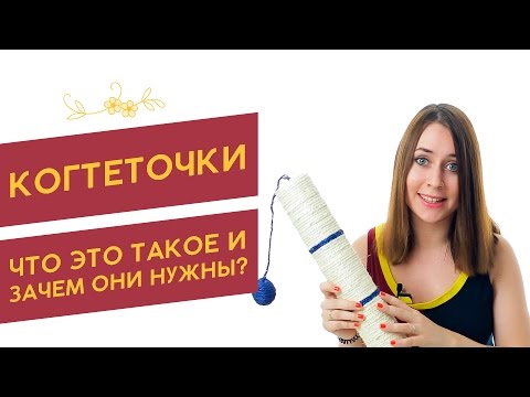 Когтеточки для кошек: что это такое и зачем они нужны?