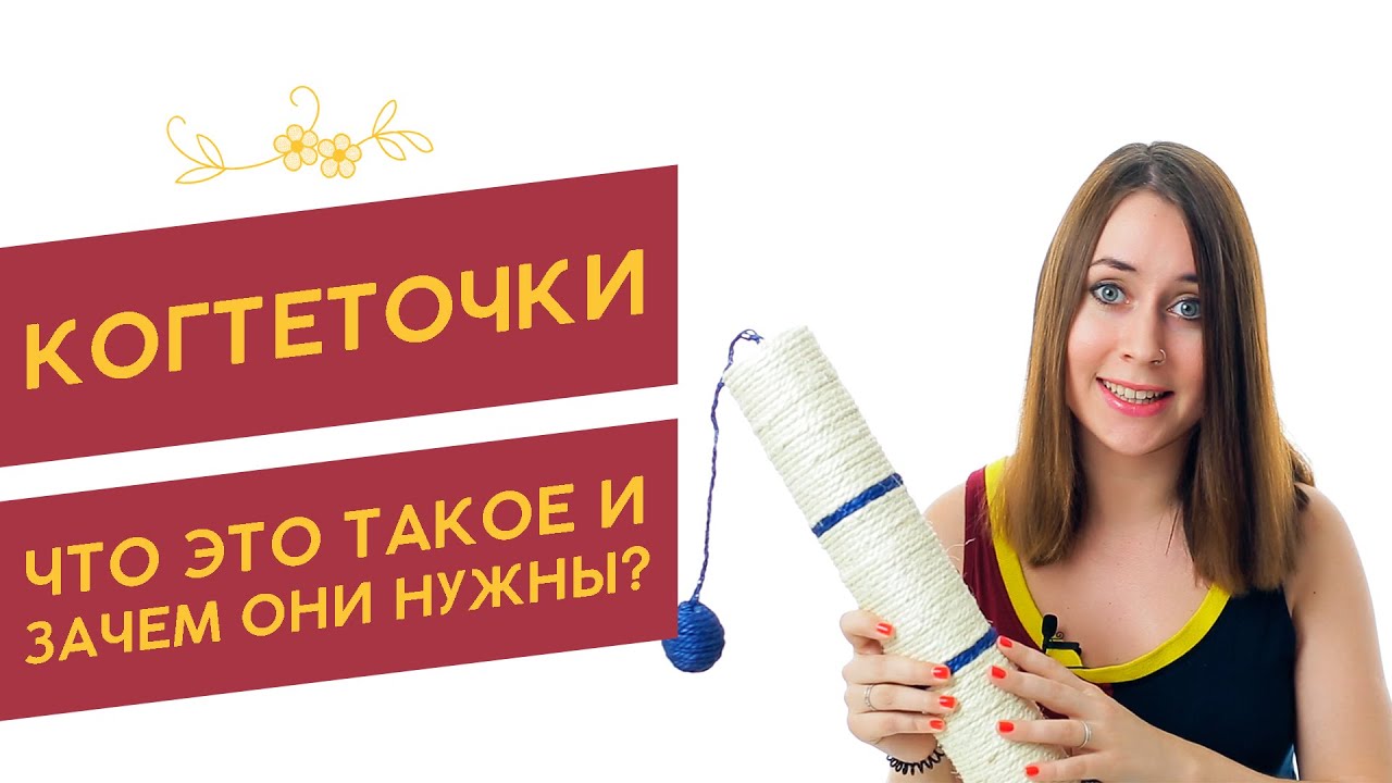 Когтеточки для кошек: что это такое и зачем они нужны ?