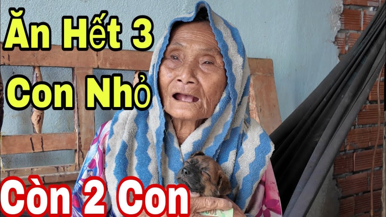 5 Con Chó Nhỏ Ăn Hết 3 Con Còn 2 Con - YouTube