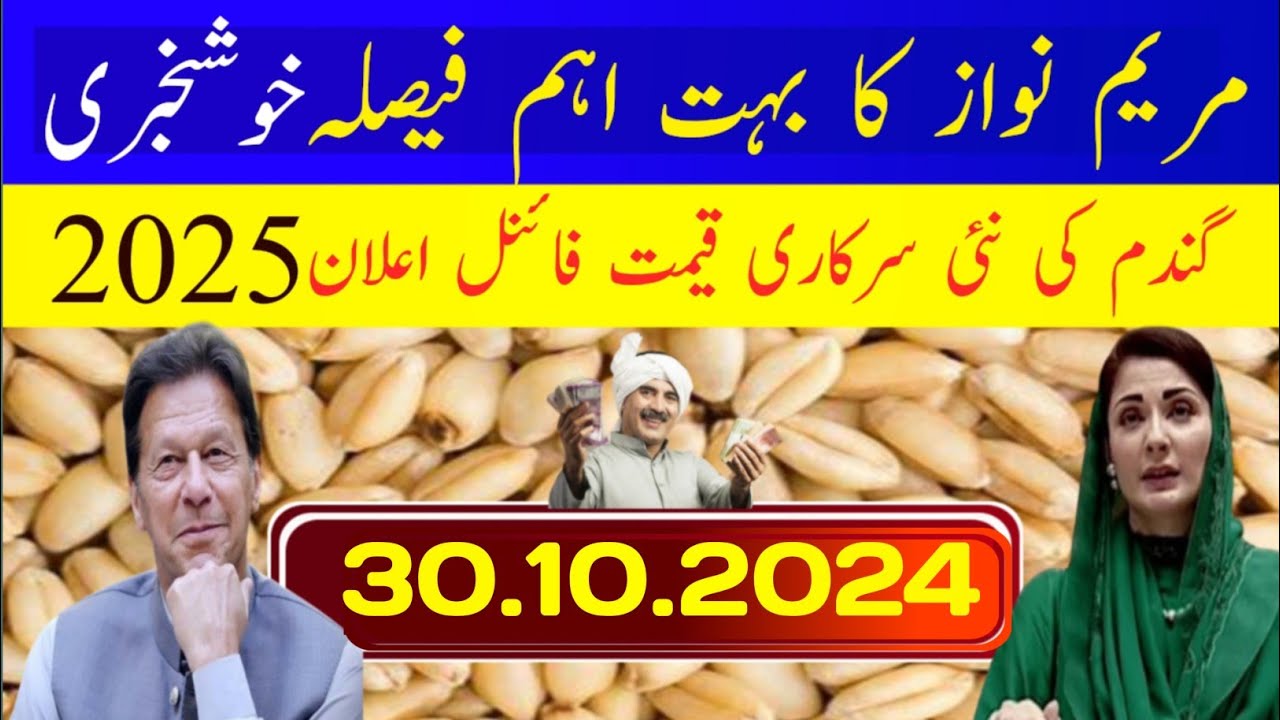 Wheat Price in Pakistan 2024 / Wheat Price today in Punjab/ Wheat Price ...