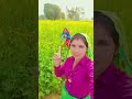 सारा दिन रिल बनावे🌺🌺🌺🌺
