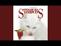Miniature de la vidéo de la chanson Extravaganza On A Theme Of Strawbs