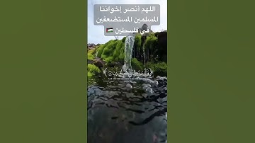 الذي خلقني فهو يهدين 🎧تلاوة خاشعة 🤯🙀😴 #coran #اكسبلور #المصحف #قرآن #لايك #الرحمن #falastine