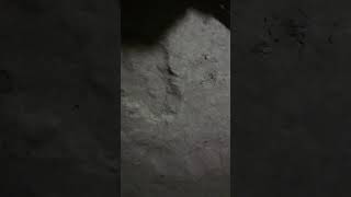 MOV 0206