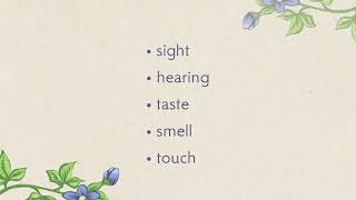 CC Cycle 3 Week 5 Science | Five Main Senses