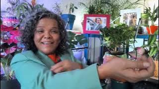 Mamy Ravatomanga - Le malade imaginaire