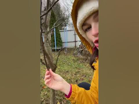 НАГЛЯДНО ещё одно правило обрезки - YouTube