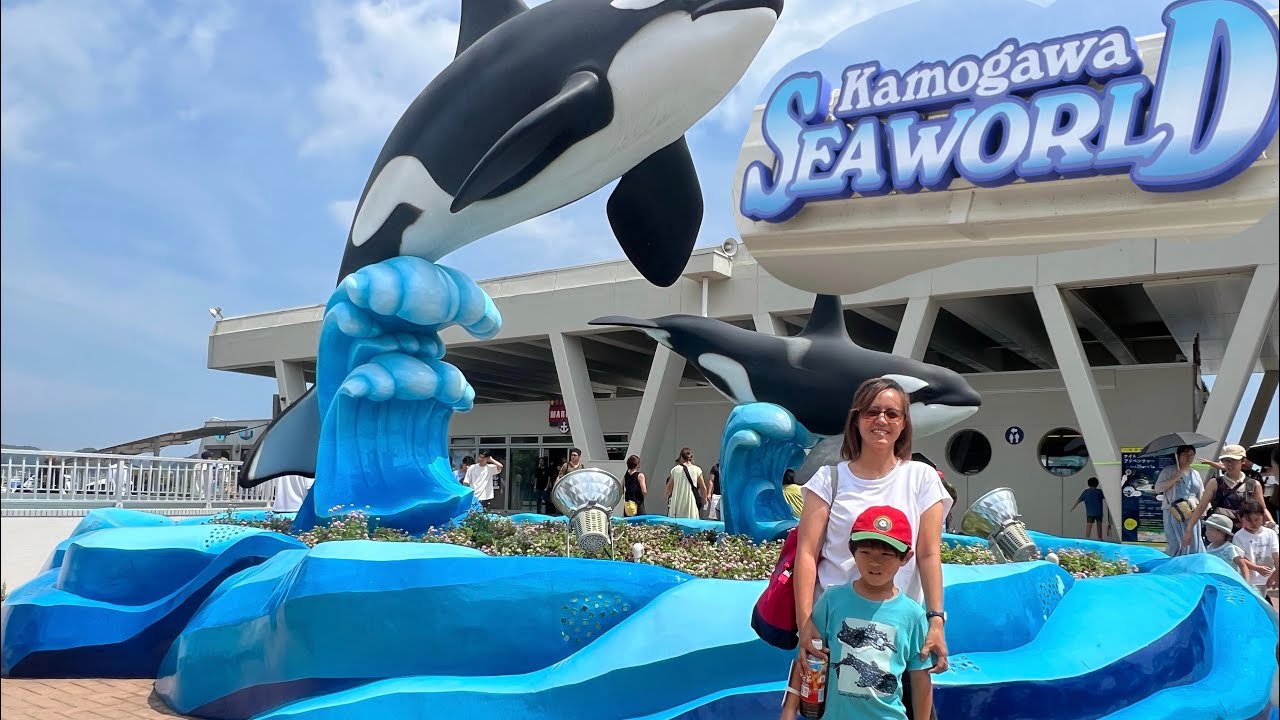 Kamogawa Sea World Summer Vacation - YouTube