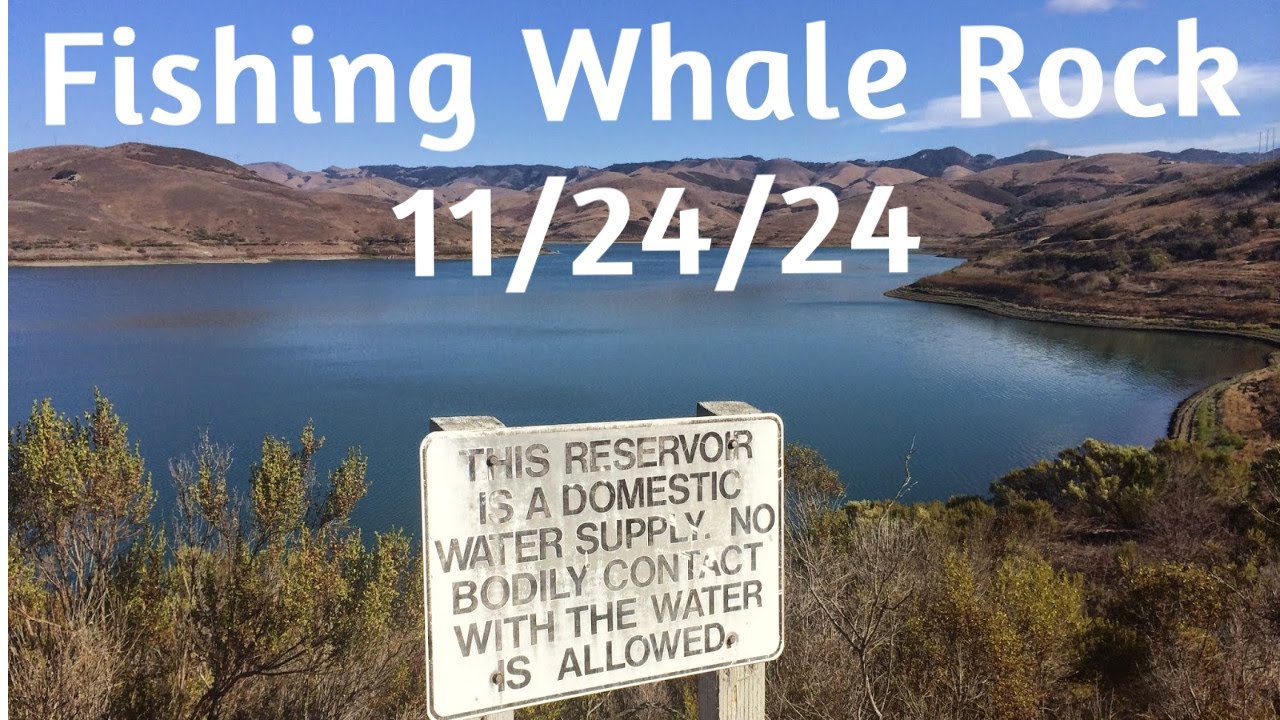 Fishing Whale Roc Reservoir 11 24 24