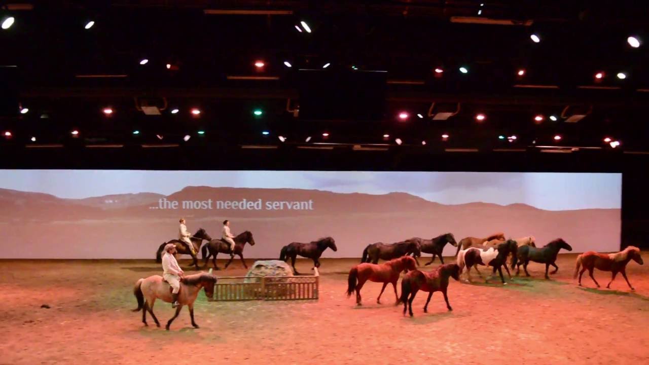 Fákasel - Night at the Farm - YouTube