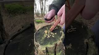 Awesome Survival Tinder Mayasticks - Tinder On A Rope