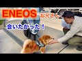 ENEOSお兄さん!会いたかったよ