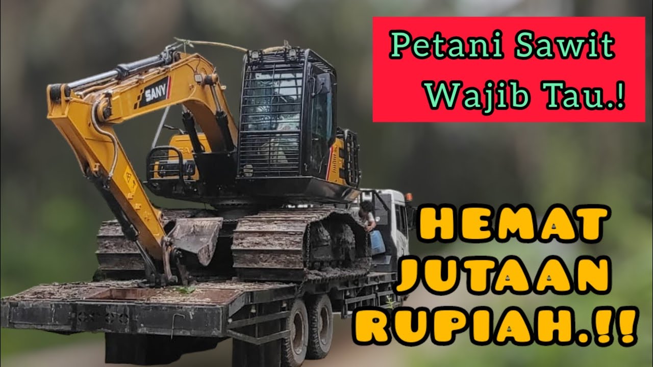 3 RITUAL WAJIB SEBELUM EKSEKUSI REPLANTING KELAPA SAWIT - YouTube