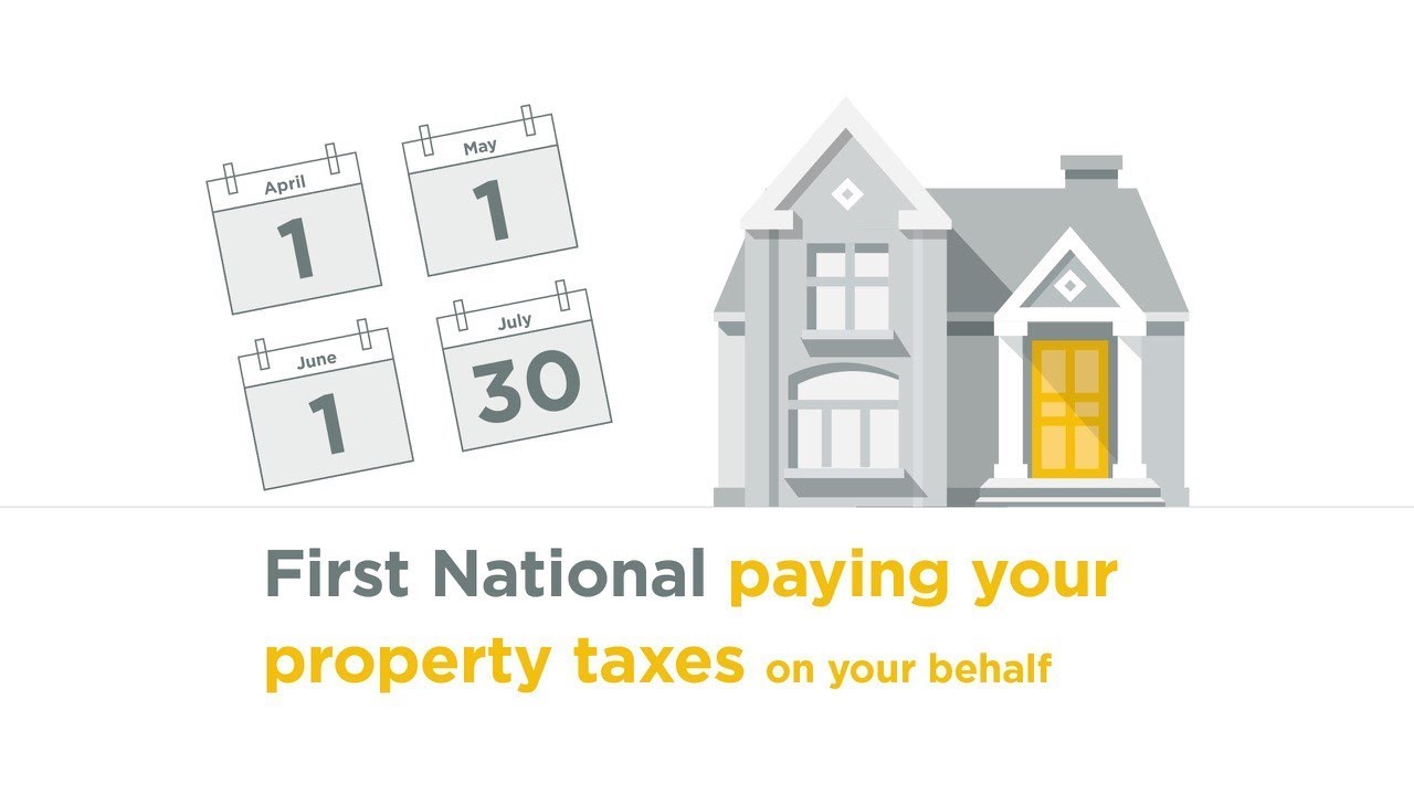 Paying your property taxes YouTube