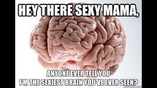 Sapiosexuals: The Science of People who are Turned On by Brains