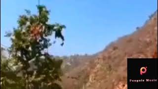 The Ultimate Saxophone Collection  Zindagi Ek Safar Hai Suhana  Penguin  Classics