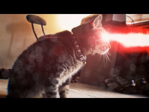 Orígenes de X-Men: Cyclops Cat